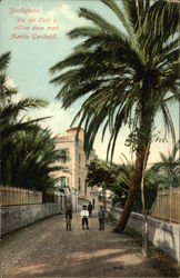 Street scene with palm trees Postcard