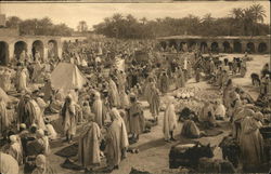 Une Marché de Tougourt Postcard