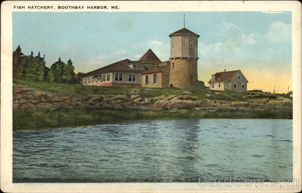 Water View of Fish Hatchery Boothbay Harbor Maine