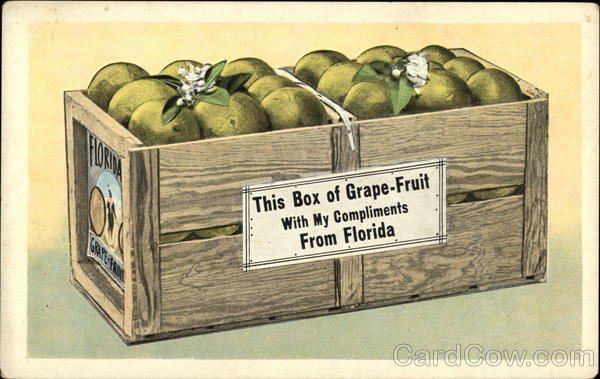 This Box of Grapefruit With my Compliments from Florida