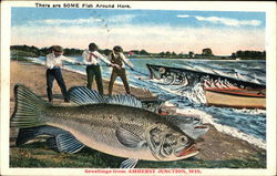 There are SOME Fish Around Here. Amherst Junction, WI Postcard Postcard Postcard