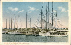 Scene at the Inlet Postcard