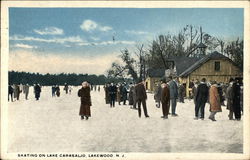 Skating on Lake Carasalio Lakewood, NJ Postcard Postcard Postcard