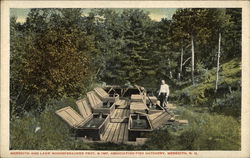Meredith and Lake Winnespesaukee Prot. & Imp. Association Fish Hatchery New Hampshire Postcard Postcard Postcard