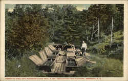 Meredith and Lake Winnespesaukee Prot. & Imp. Association Fish Hatchery Postcard