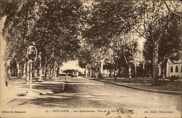 Les Quinconces - Vue de la Route de Blista Boufarik Algeria