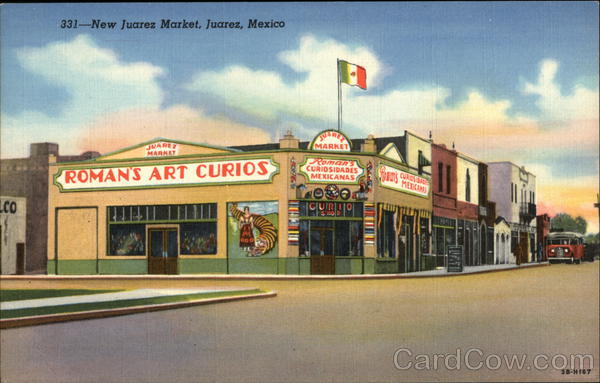 Street View of New Juarez Market Mexico