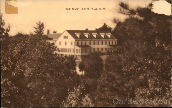 Tree Line View of The Elms Goffs Falls New Hampshire