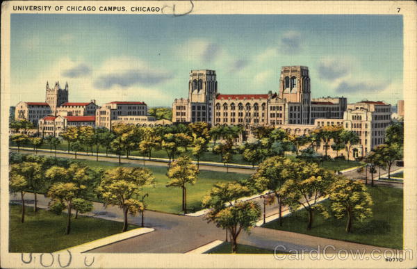 University of Chicago Campus Illinois