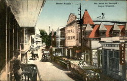 Royal Museum Postcard