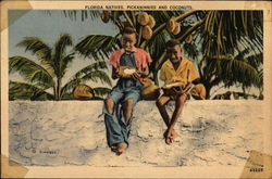 Florida Natives, Pickaninnies and Coconuts Postcard