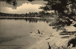 Woman in Row Boat on Lake Wentworth Postcard