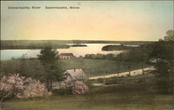 Damariscotta River Maine Postcard Postcard Postcard