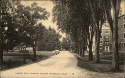 Bowdoin College - Campus Road Postcard