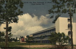 The New University of Miami Coral Gables, FL Postcard Postcard Postcard