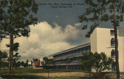 The New University of Miami Postcard