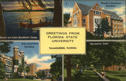 Florida State University Tallahassee, FL Postcard Postcard Postcard