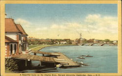 A Beautiful Scene on the Charles River, Harvard University Cambridge, MA Postcard Postcard Postcard