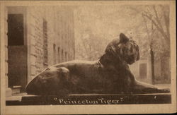 Princeton University - Princeton Tiger New Jersey Postcard Postcard Postcard