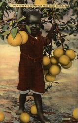 He'p Yo'Se'F to Grapefruit from Sunny Florida Black Americana Postcard Postcard Postcard