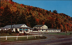 Pine Crest Motel and Restaurant Postcard