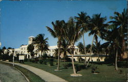 The Town House Hollywood Beach, FL Postcard Postcard Postcard