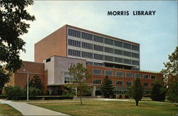 Southern Illinois University - Morris Library Postcard