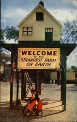 The Strangest Farm on Earth Postcard