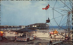 Amusement Area and Ocean Pier Postcard