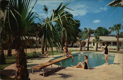 Palms Motel and Restaurant Postcard