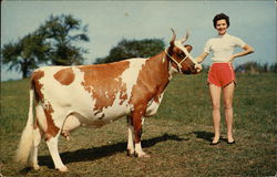 Dairymen Dairymen