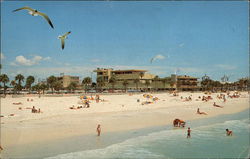 View of Big Pier 60 Clearwater Beach, FL Postcard Postcard Postcard