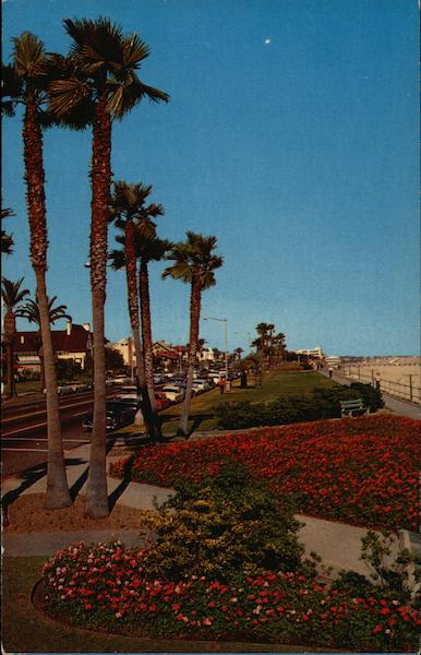 Bluff Park Long Beach California