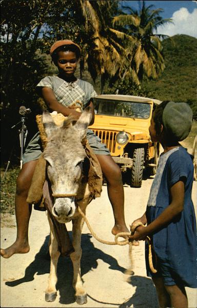 Riding a Burro Saint John Virgin Islands Henle Caribbean Islands