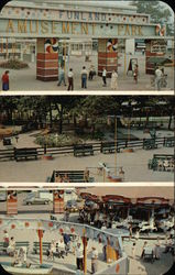 Amusement Park Views Postcard