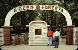 Deer Forest at Paw Paw Lakes Postcard