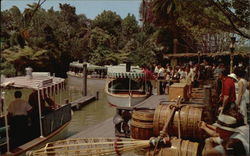 Jungle River Cruise Postcard