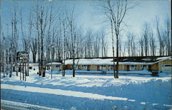 Treetops Motel & Restaurant Postcard