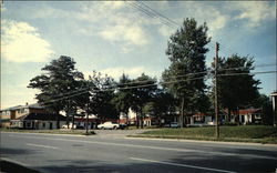 River View Motor Court Postcard
