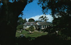 Strawberry Hill, Irish Town, Jamaica, W.I. Strawberry Hill, Irish Town, Jamaica, W.I.