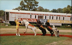 Circus World Museum Postcard