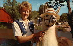 Circus World Museum Postcard