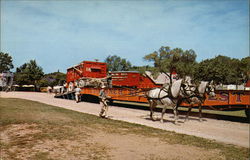 Circus World Museum Postcard