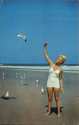 Woman Feeding Seagull Woman Feeding Seagull