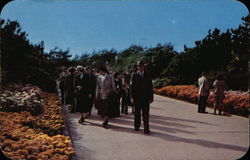 Fall Flowers Central Mall, Jones Beach Postcard