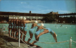 Water Ballet Take Off Postcard