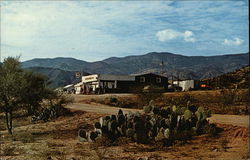 General Store and Stage Coach Station Postcard