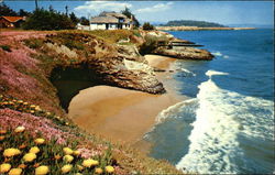 West Cliff Drive Santa Cruz, CA Postcard Postcard Postcard