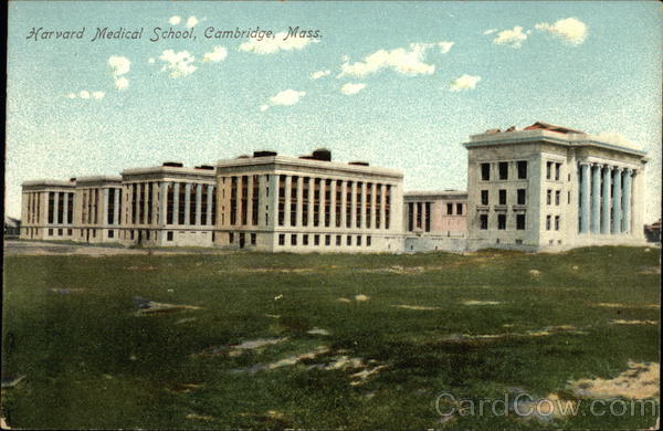 Harvard Medical School Cambridge Massachusetts