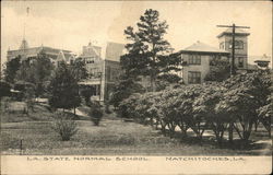 Louisana State Normal School Natchitoches, LA Postcard Postcard Postcard